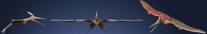 3D model Pteranodon for Dn D (STL)